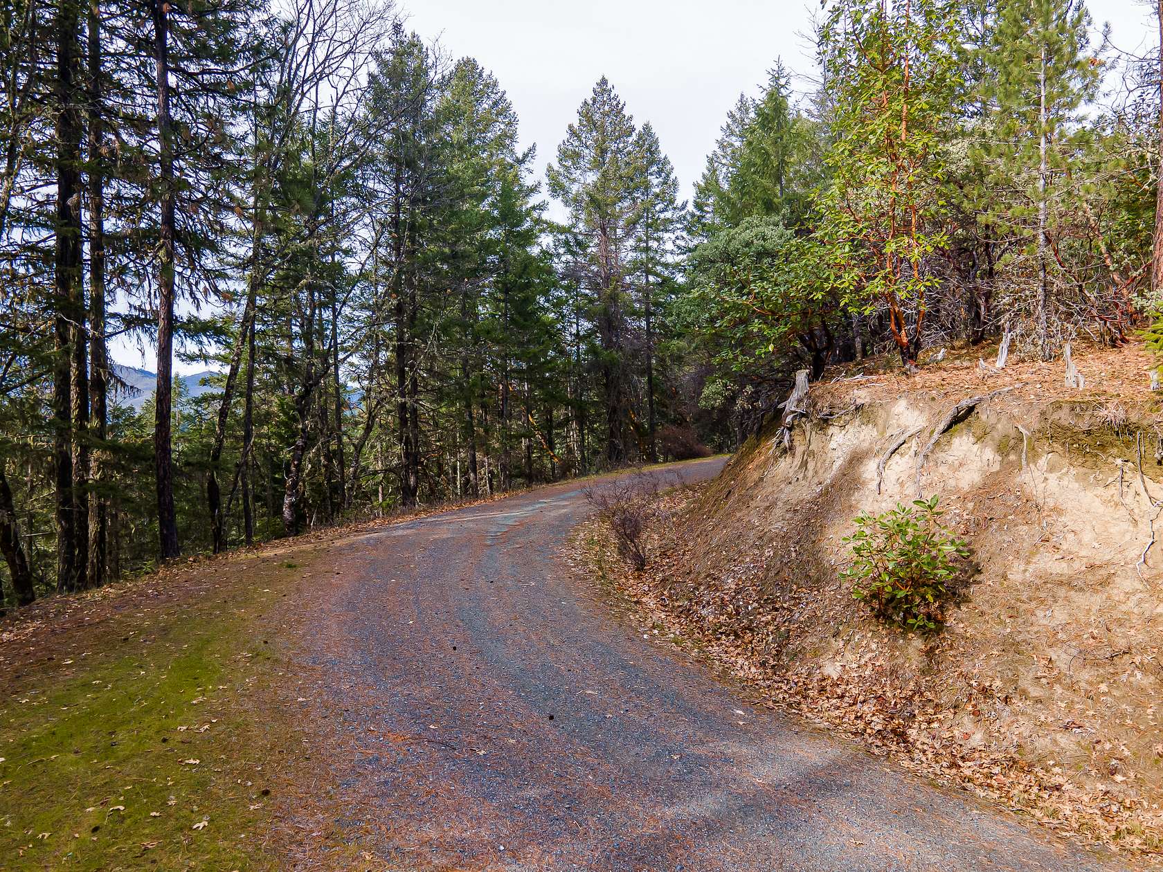160 Acres of Recreational Land for Sale in Rogue River, Oregon