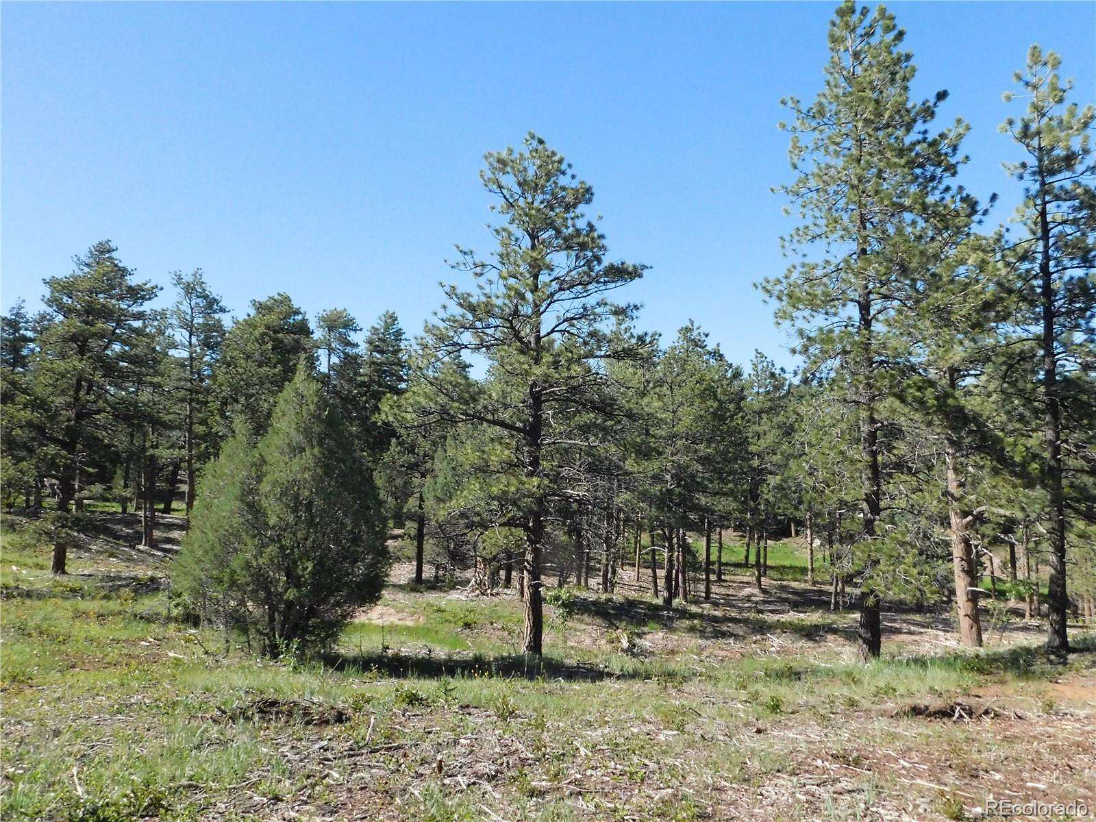 1 Acre of Residential Land for Sale in Larkspur, Colorado