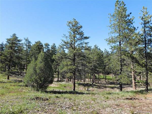 1 Acre of Residential Land for Sale in Larkspur, Colorado