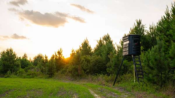 378 Acres of Recreational Land for Auction in Arabi, Georgia