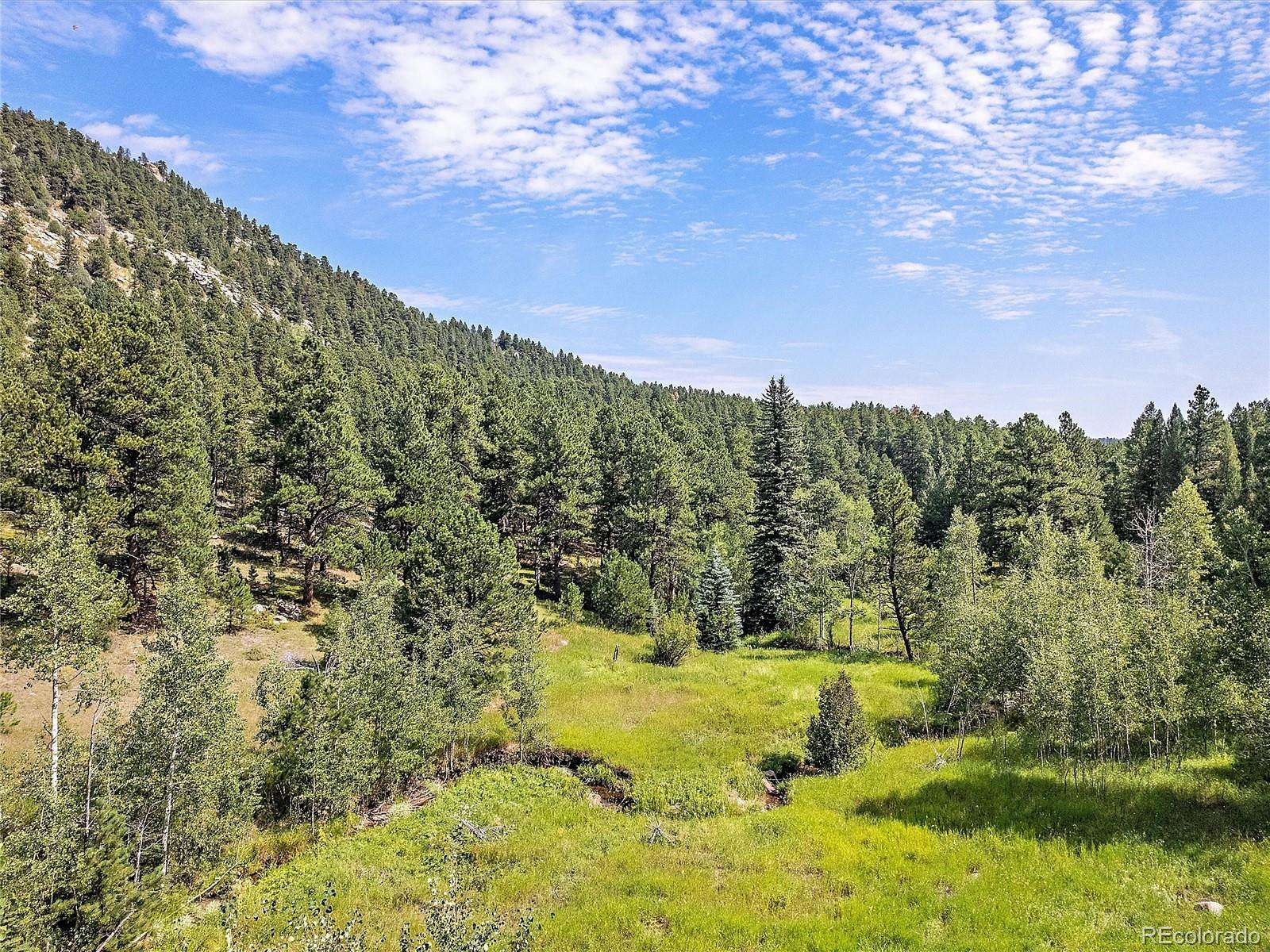 9.83 Acres of Land for Sale in Evergreen, Colorado