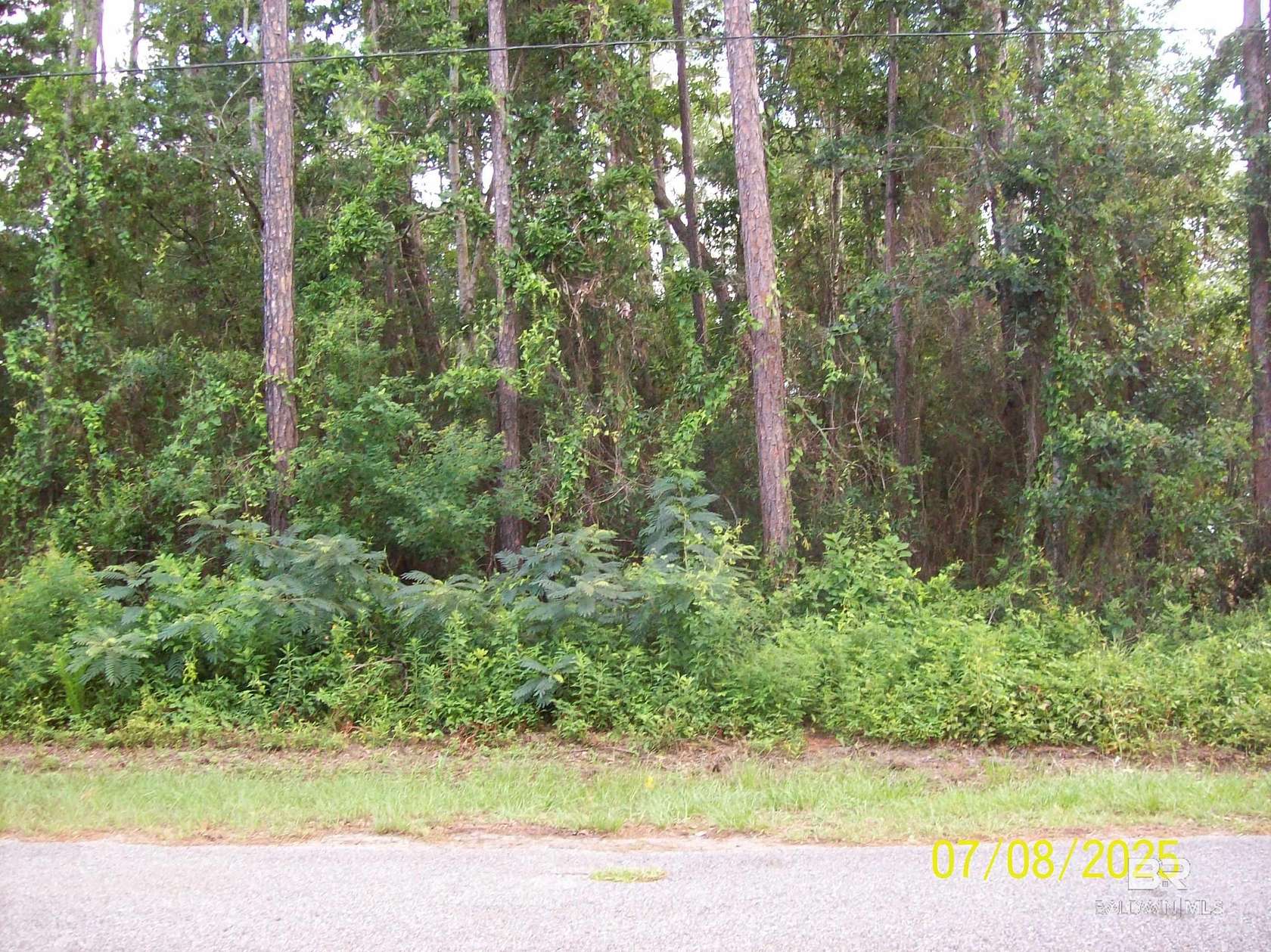 0.5 Acres of Residential Land for Sale in Fairhope, Alabama