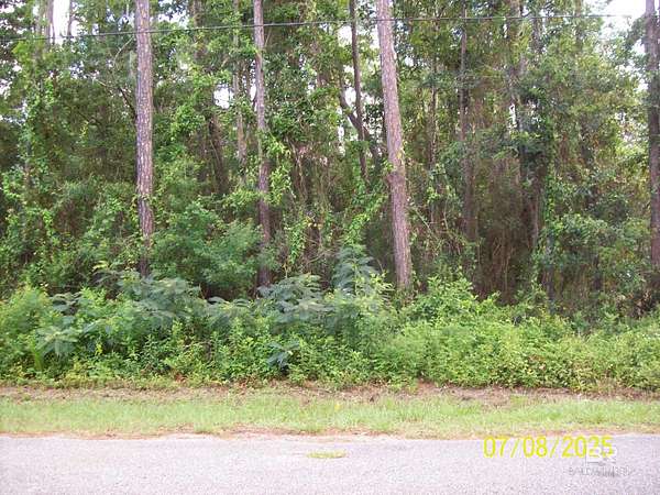 0.5 Acres of Residential Land for Sale in Fairhope, Alabama