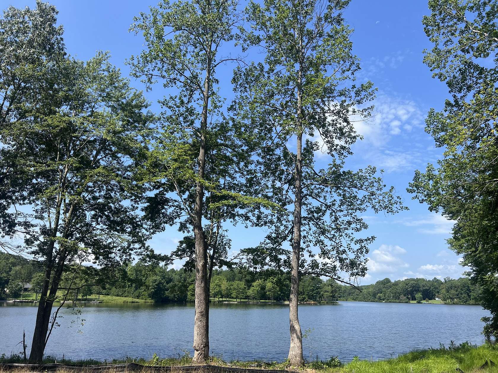 1.5 Acres of Residential Land for Sale in Cedar Grove, Tennessee