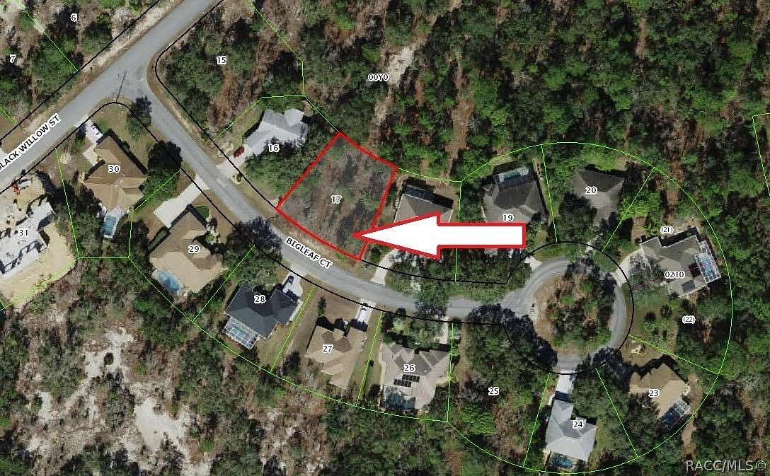 0.28 Acres of Land for Sale in Homosassa, Florida