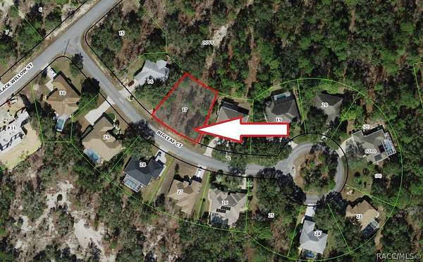 0.28 Acres of Land for Sale in Homosassa, Florida