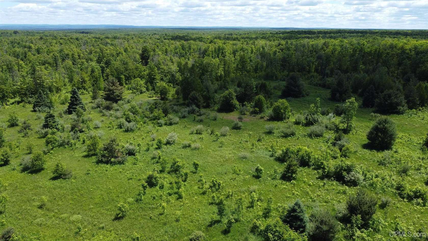 40 Acres of Recreational & Residential Land for Sale in Nisula, Michigan