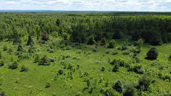 40 Acres of Recreational & Residential Land for Sale in Nisula, Michigan