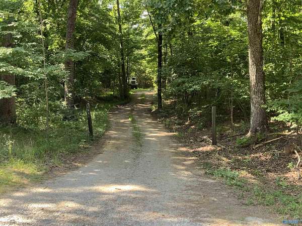 15 Acres of Recreational & Residential Land for Sale in Woodville, Alabama