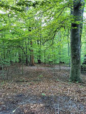 0.63 Acres of Land for Sale in Moneta, Virginia