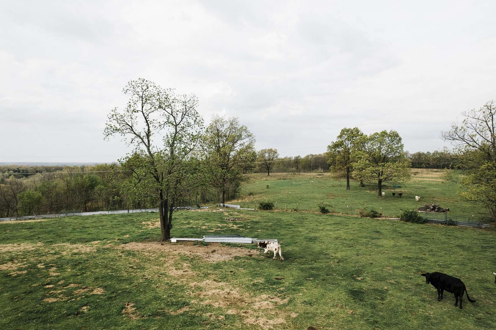 79.4 Acres of Land for Sale in Stella, Missouri