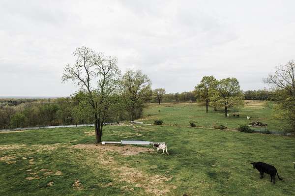 79.4 Acres of Land for Sale in Stella, Missouri
