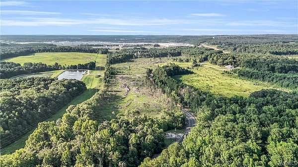 67 Acres of Land for Sale in Vance, Alabama