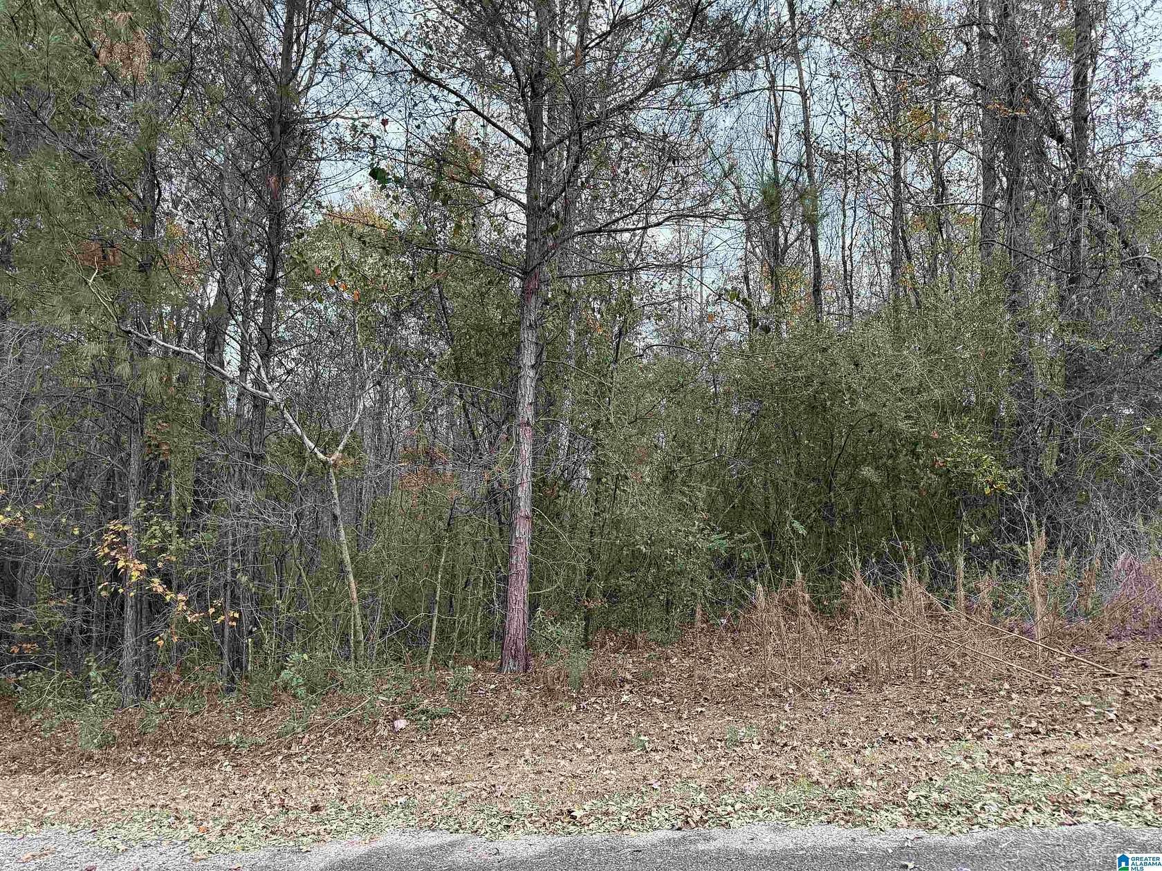 0.95 Acres of Residential Land for Sale in Warrior, Alabama