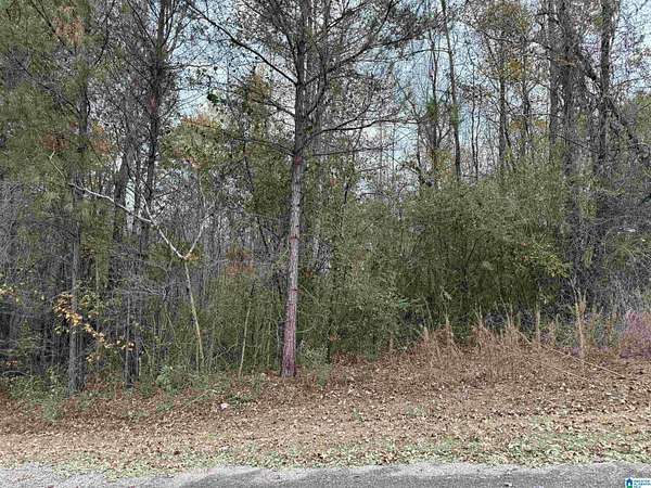 0.95 Acres of Residential Land for Sale in Warrior, Alabama