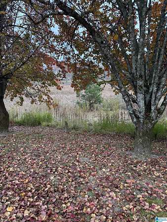 0.7 Acres of Residential Land for Sale in Warrior, Alabama