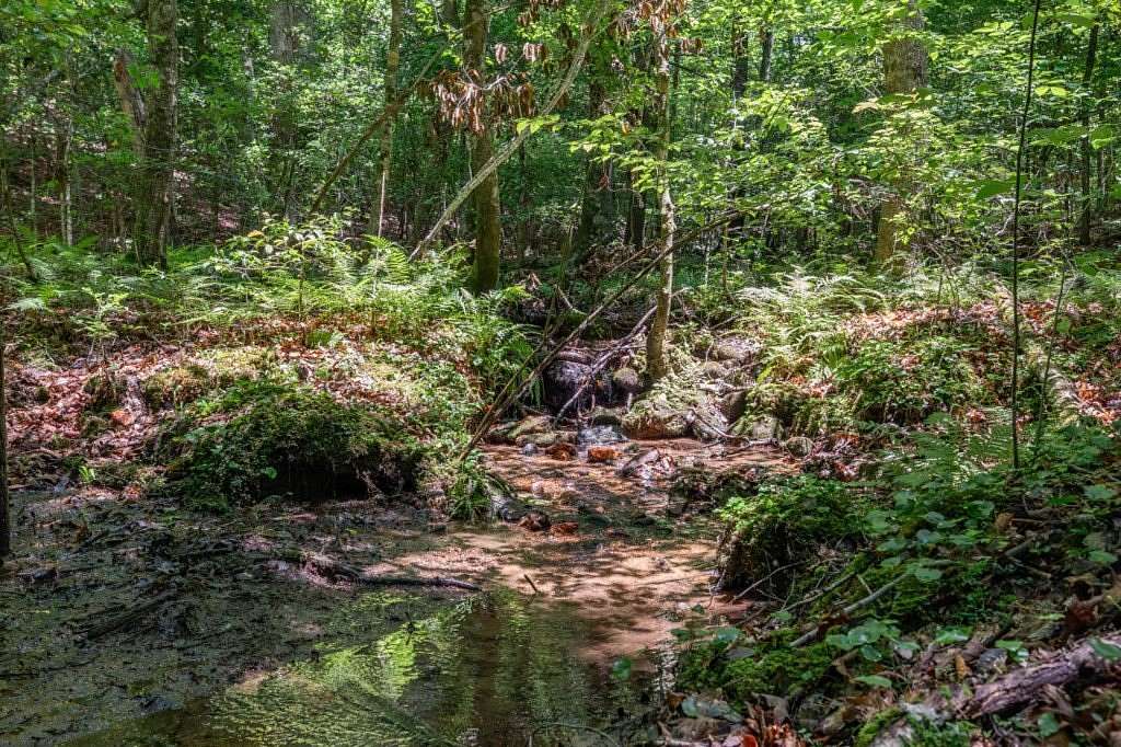 5 Acres of Land for Sale in Blue Ridge, Georgia