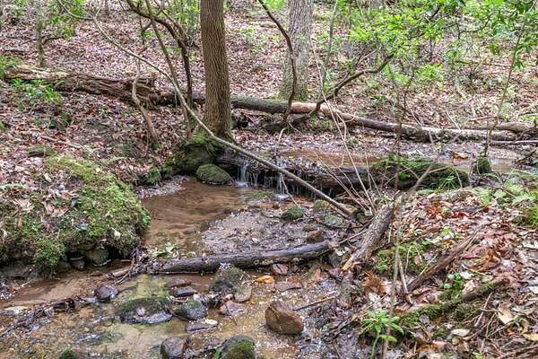 6 Acres of Land for Sale in Blue Ridge, Georgia