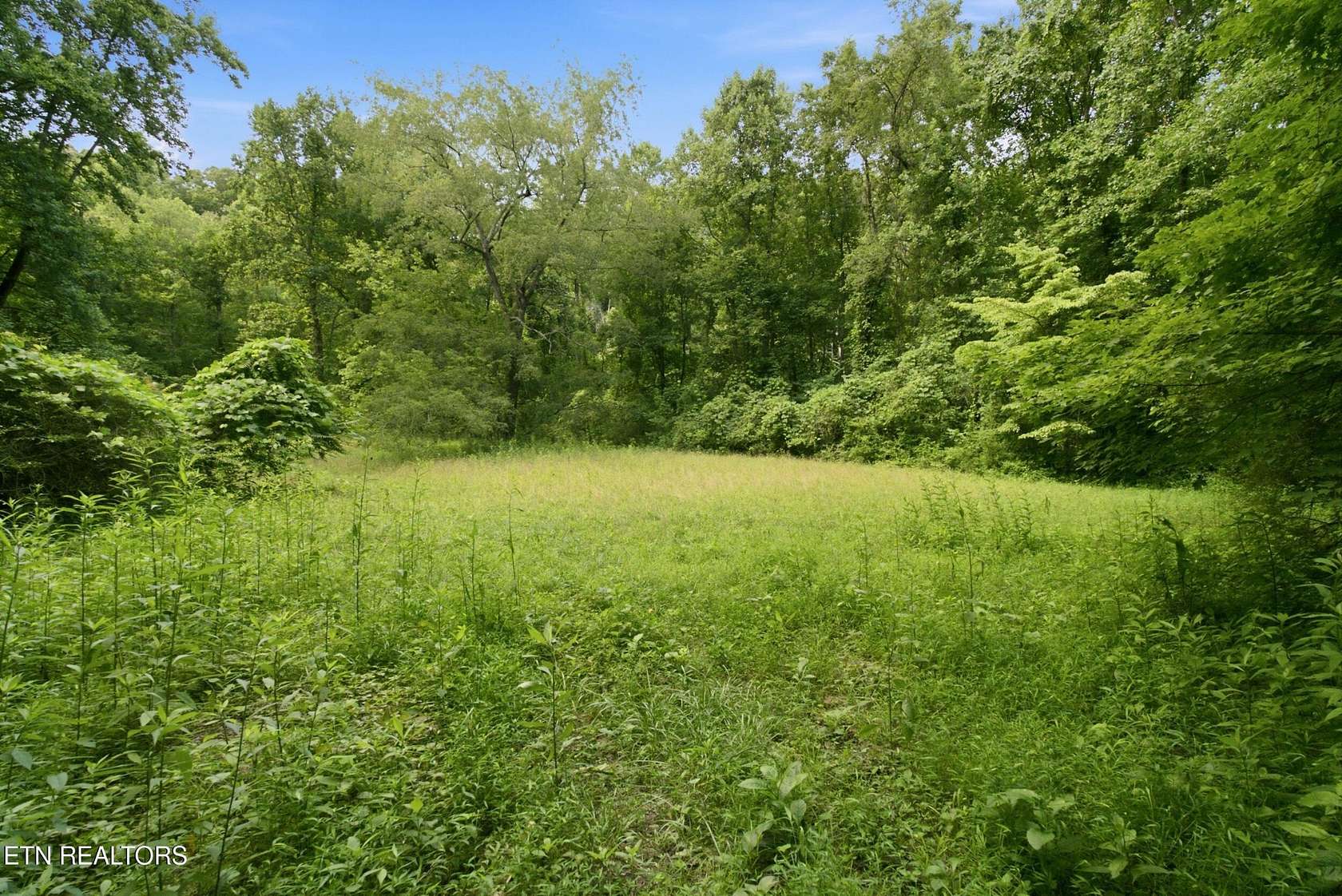 2.6 Acres of Residential Land for Sale in Knoxville, Tennessee