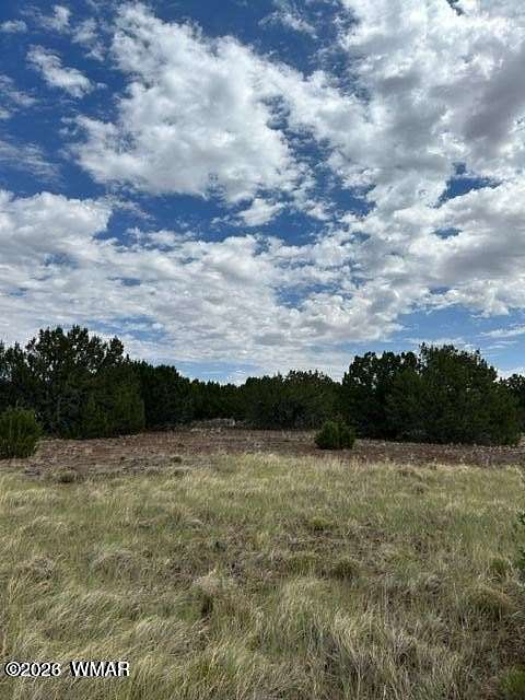 4 Acres of Residential Land for Sale in Vernon, Arizona
