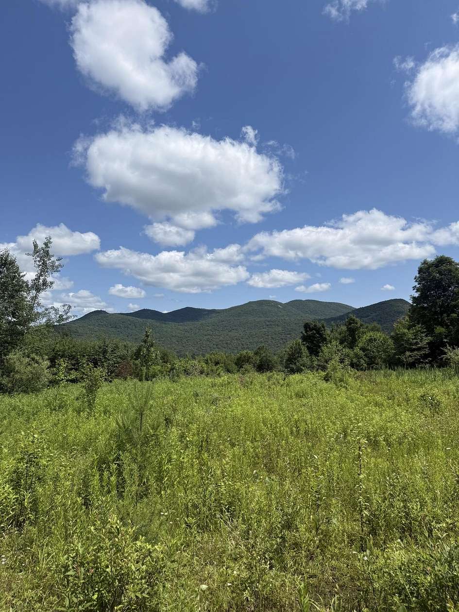 24.7 Acres of Recreational Land for Sale in Loon Lake, New York
