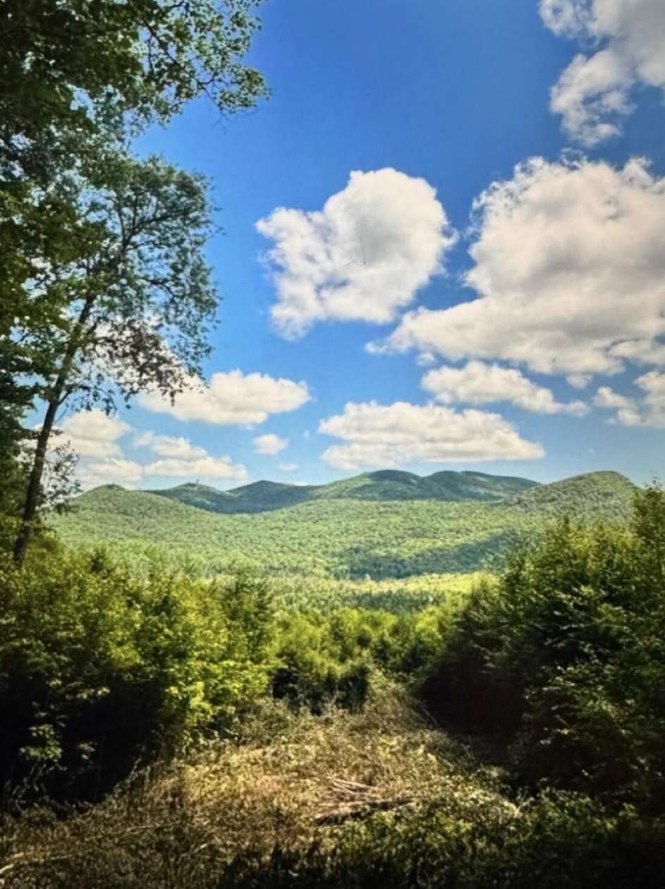 24.7 Acres of Land for Sale in Loon Lake, New York