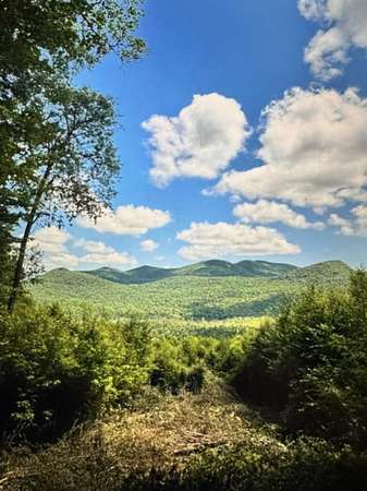 24.7 Acres of Land for Sale in Loon Lake, New York