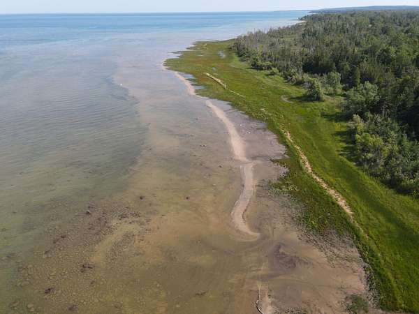 11.7 Acres of Recreational & Residential Land for Sale in Black River, Michigan