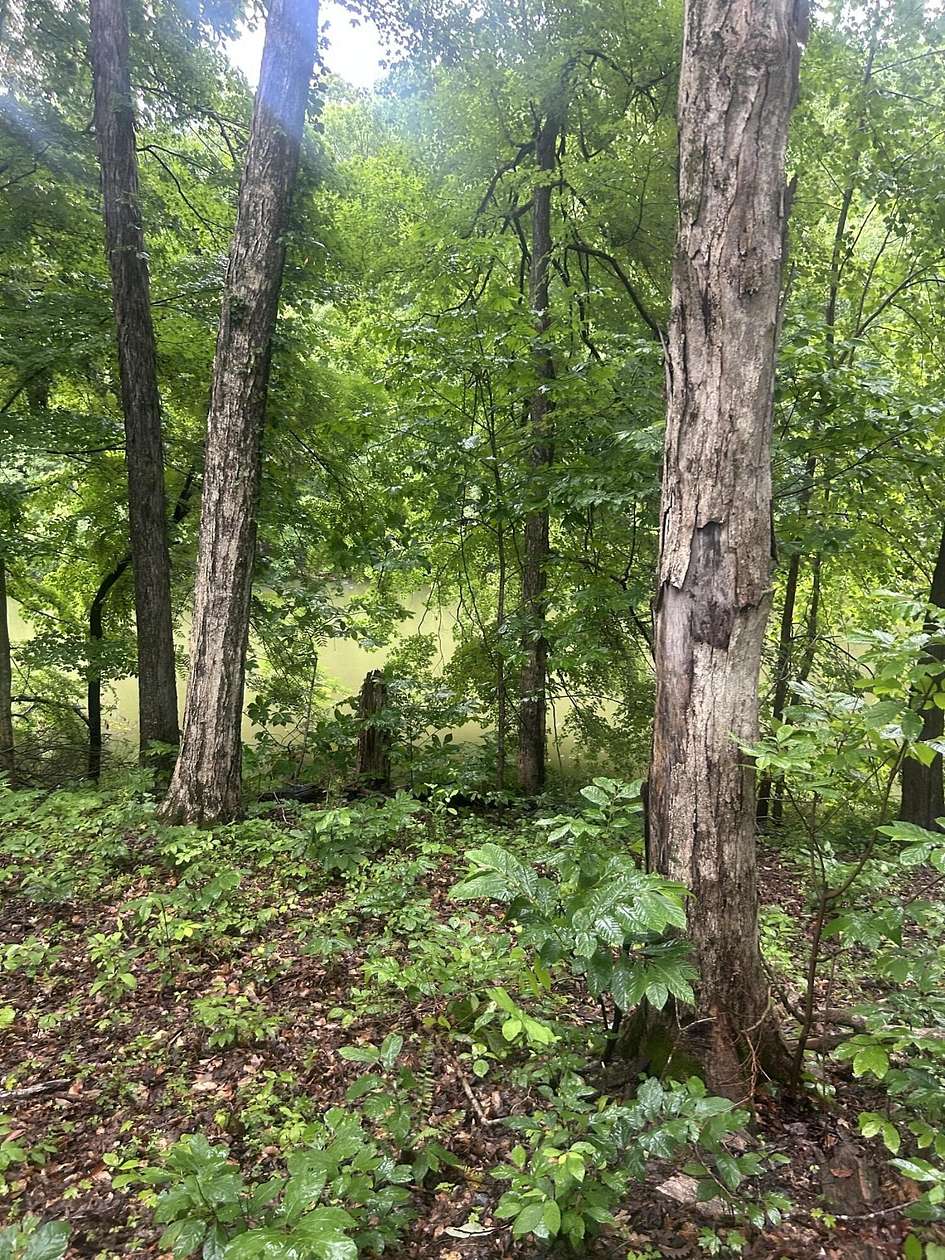 7 Acres of Residential Land for Sale in Cadiz, Kentucky