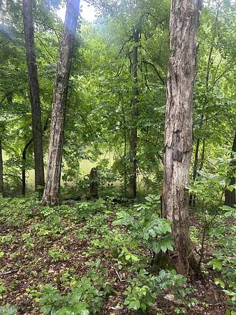 7 Acres of Residential Land for Sale in Cadiz, Kentucky