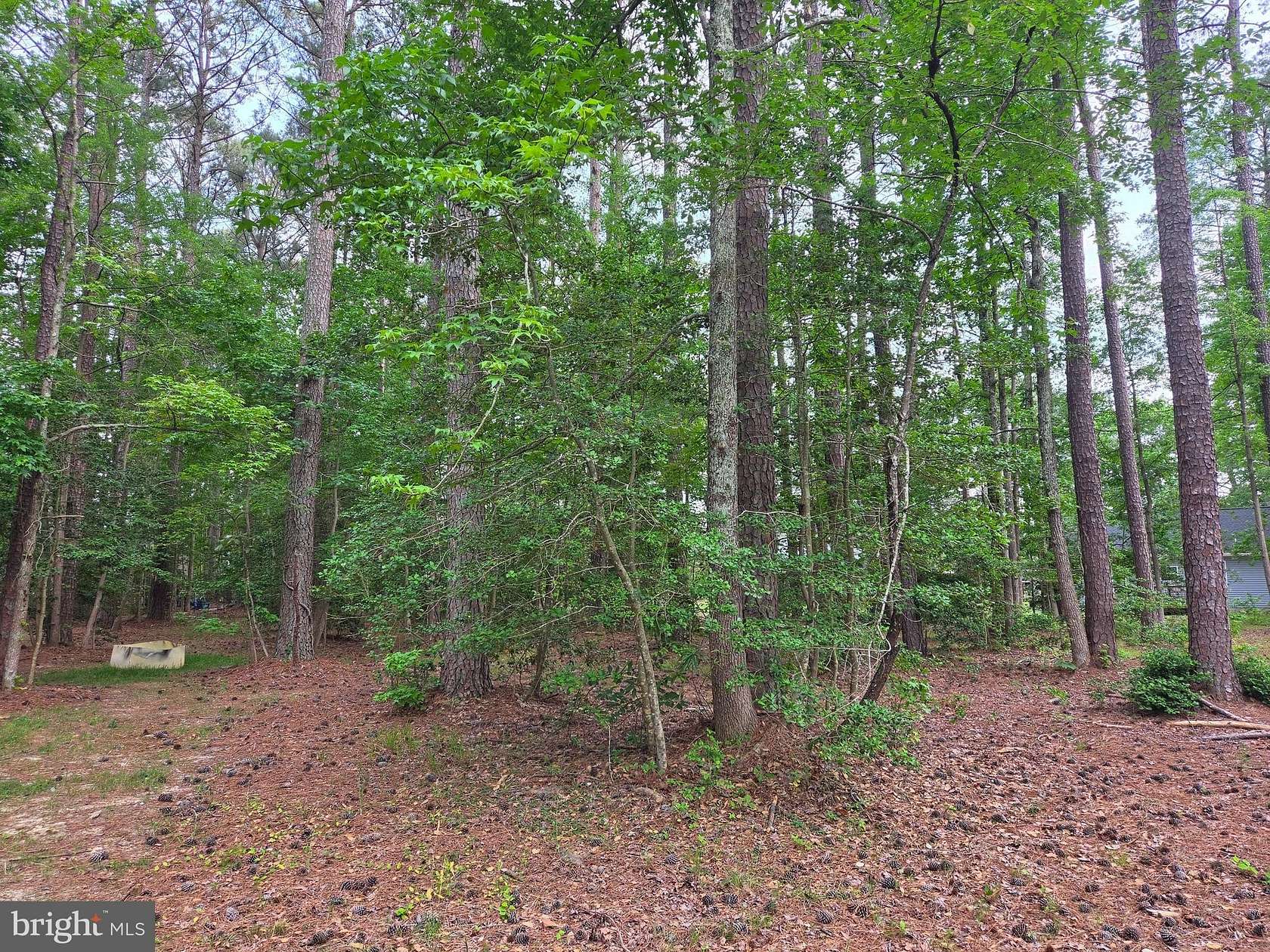 0.33 Acres of Residential Land for Sale in Montross, Virginia