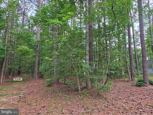 0.33 Acres of Residential Land for Sale in Montross, Virginia