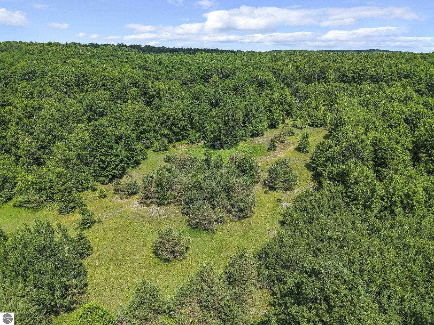 30.3 Acres of Recreational Land for Sale in Lake City, Michigan