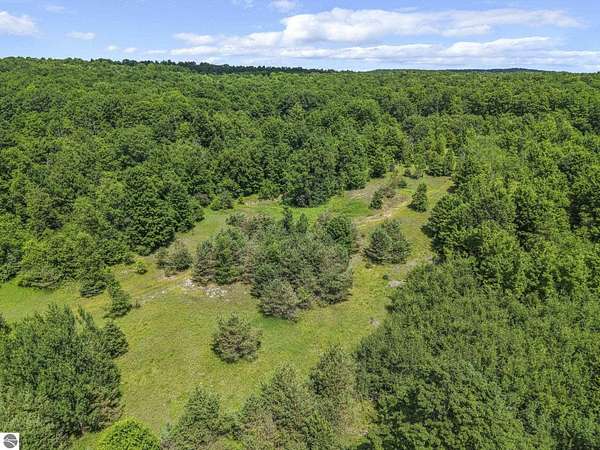 30.3 Acres of Recreational Land for Sale in Lake City, Michigan