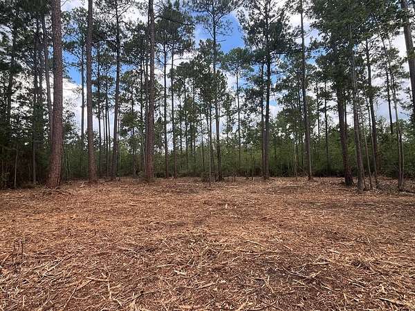 3 Acres of Residential Land for Sale in Thomasville, Georgia