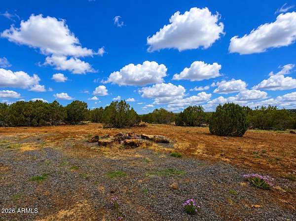 10.3 Acres of Recreational Land for Sale in Show Low, Arizona