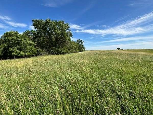 44 Acres of Agricultural & Residential Land for Sale in Lancaster, Missouri