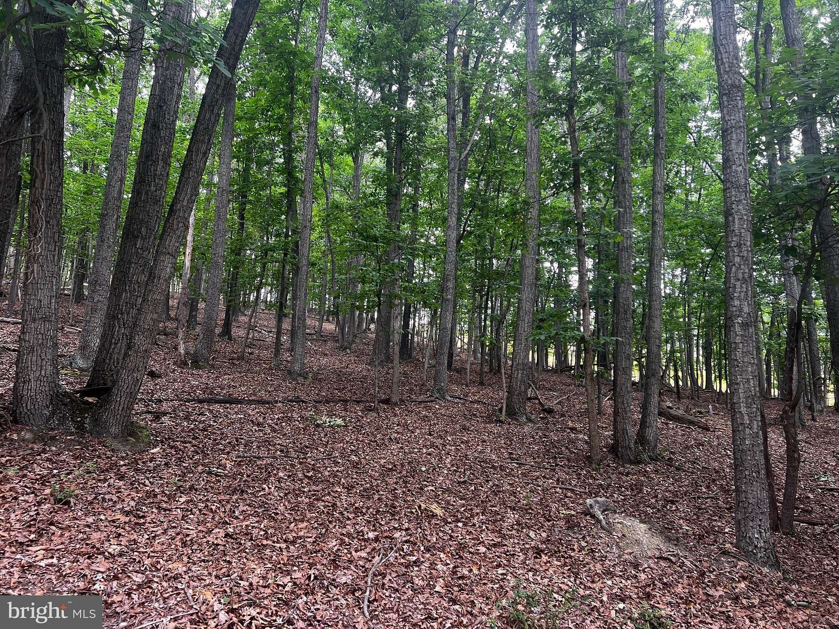 63.8 Acres of Land for Sale in Yellow Spring, West Virginia