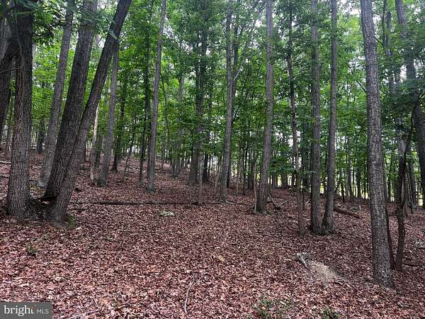 63.8 Acres of Land for Sale in Yellow Spring, West Virginia
