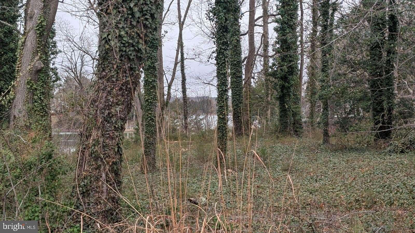 2.65 Acres of Residential Land for Sale in Montross, Virginia