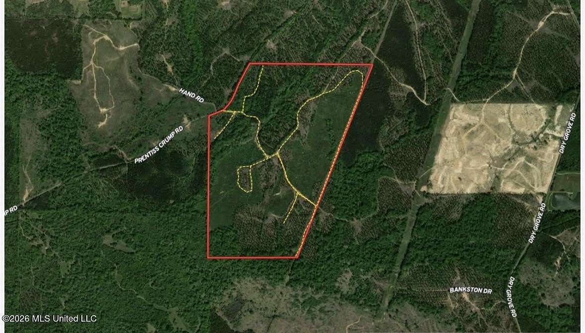 229 Acres of Recreational Land for Sale in Terry, Mississippi