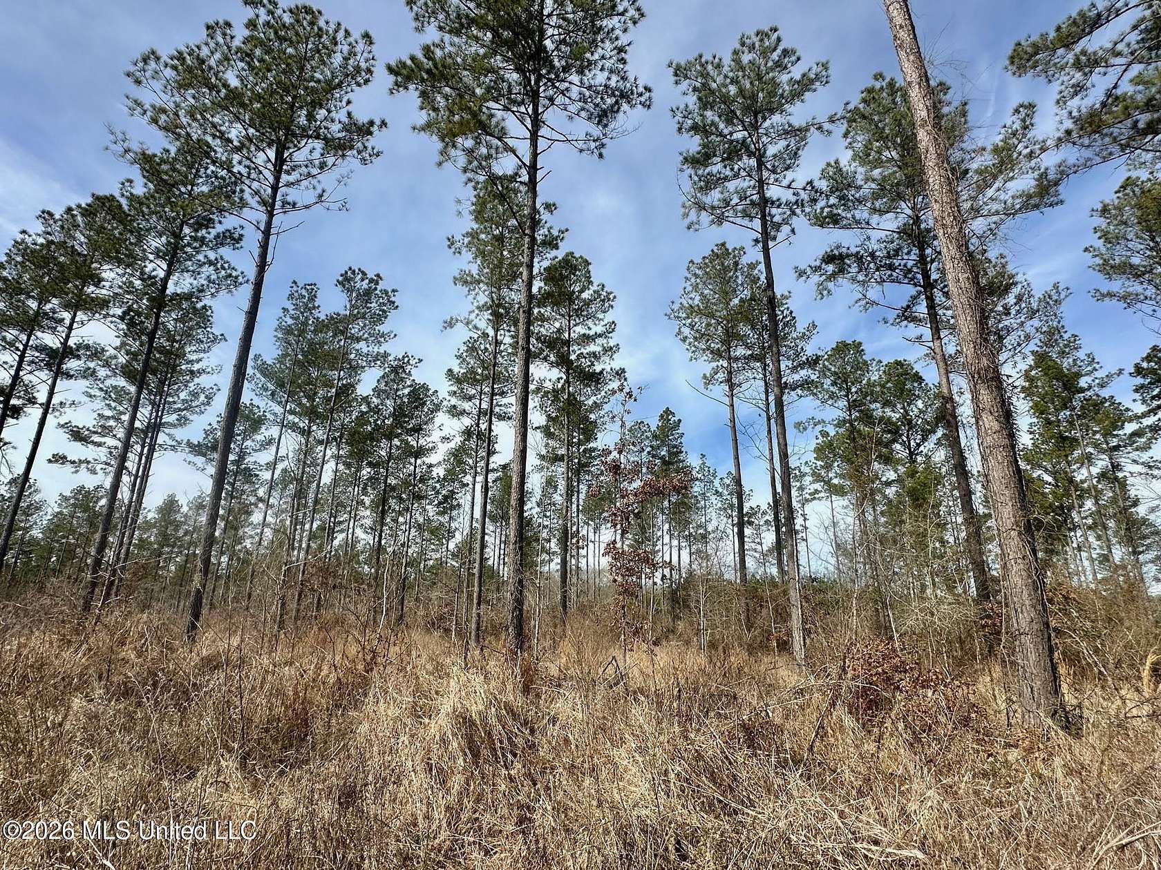 229 Acres of Recreational Land for Sale in Terry, Mississippi