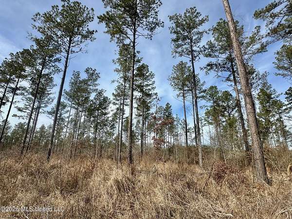 229 Acres of Recreational Land for Sale in Terry, Mississippi