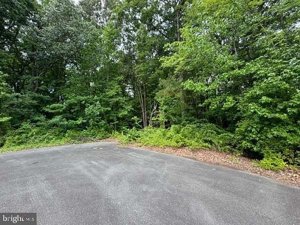 0.73 Acres of Residential Land for Sale in Selbyville, Delaware