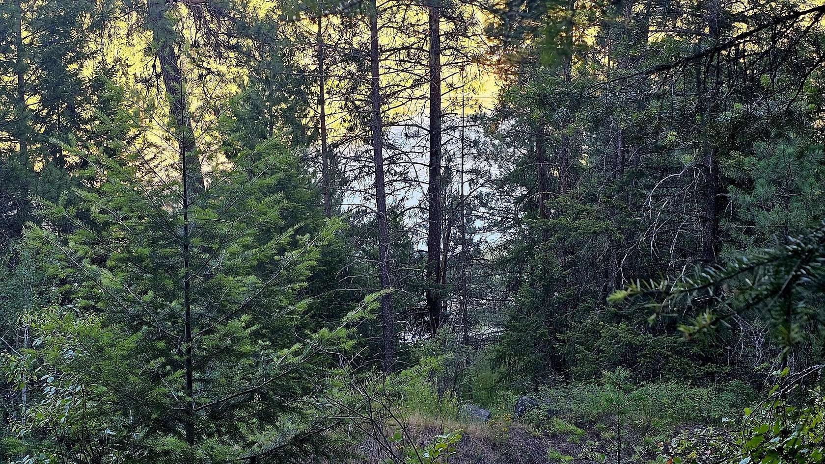 1 Acre of Residential Land for Sale in Kettle Falls, Washington