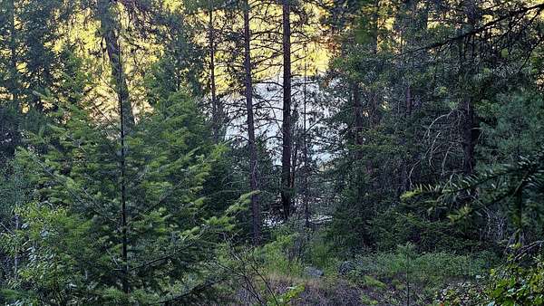 1 Acre of Residential Land for Sale in Kettle Falls, Washington