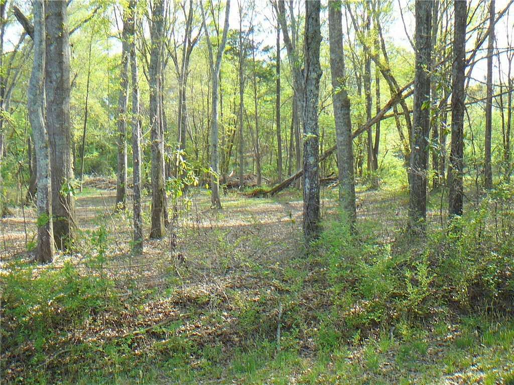 1.22 Acres of Residential Land for Sale in Anderson, South Carolina