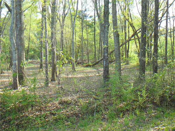 1.22 Acres of Residential Land for Sale in Anderson, South Carolina