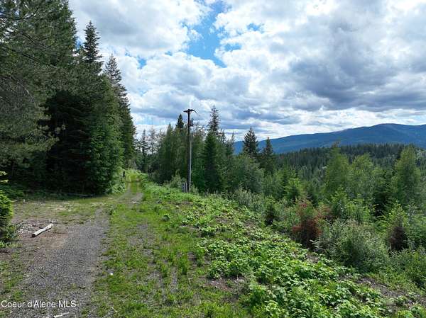 20 Acres of Land for Sale in Sandpoint, Idaho