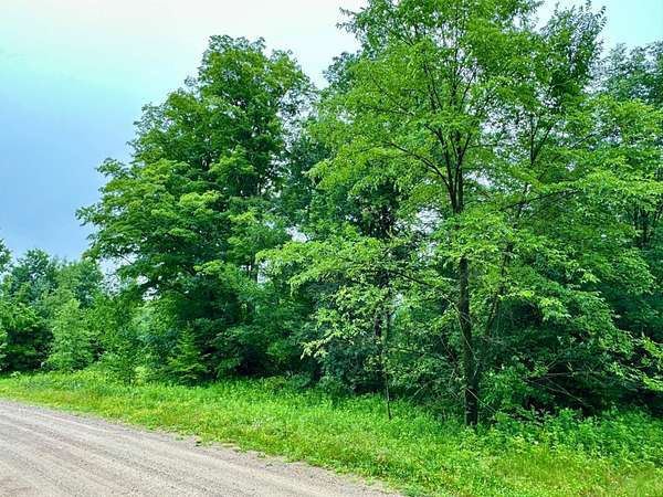2 Acres of Residential Land for Sale in Wittenberg, Wisconsin